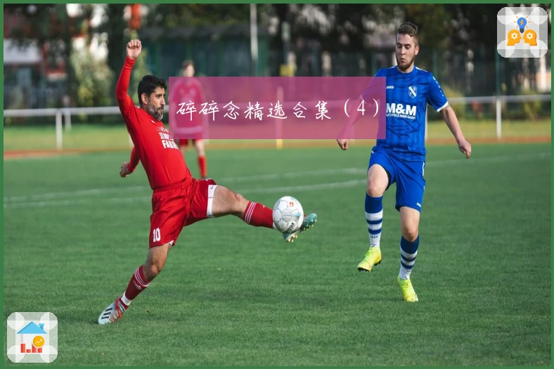 碎碎念精选合集（4）