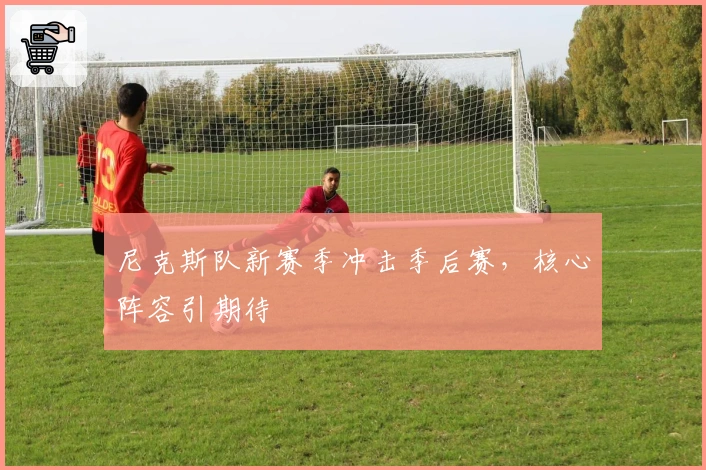 尼克斯队新赛季冲击季后赛，核心阵容引期待