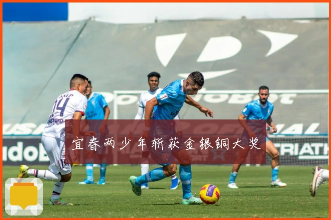 宜春两少年斩获金银铜大奖