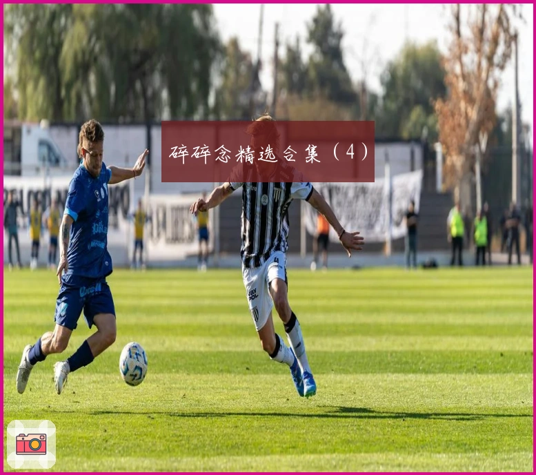 碎碎念精选合集（4）