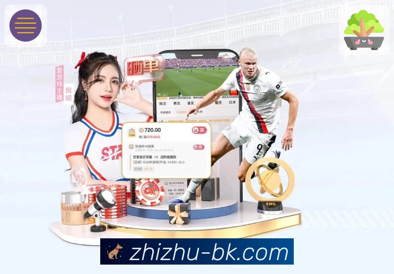 公信力与实力的象征